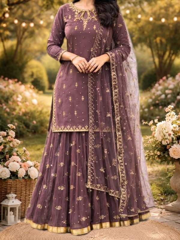 Home A georgette net sharara